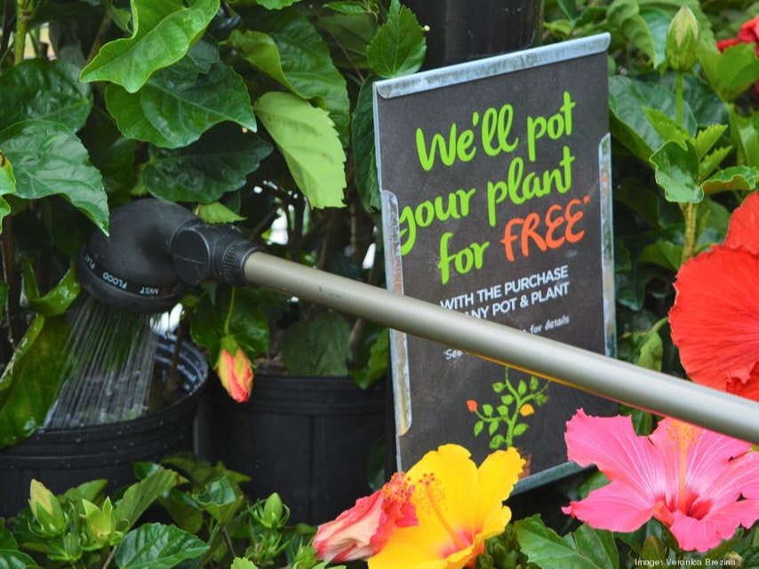 'The idea is one to many': Gardening kit startup sees growth in B2B efforts