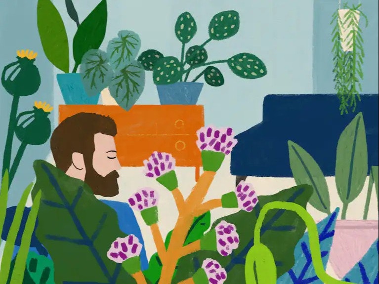What science tells us about the mood-boosting effects of indoor plants